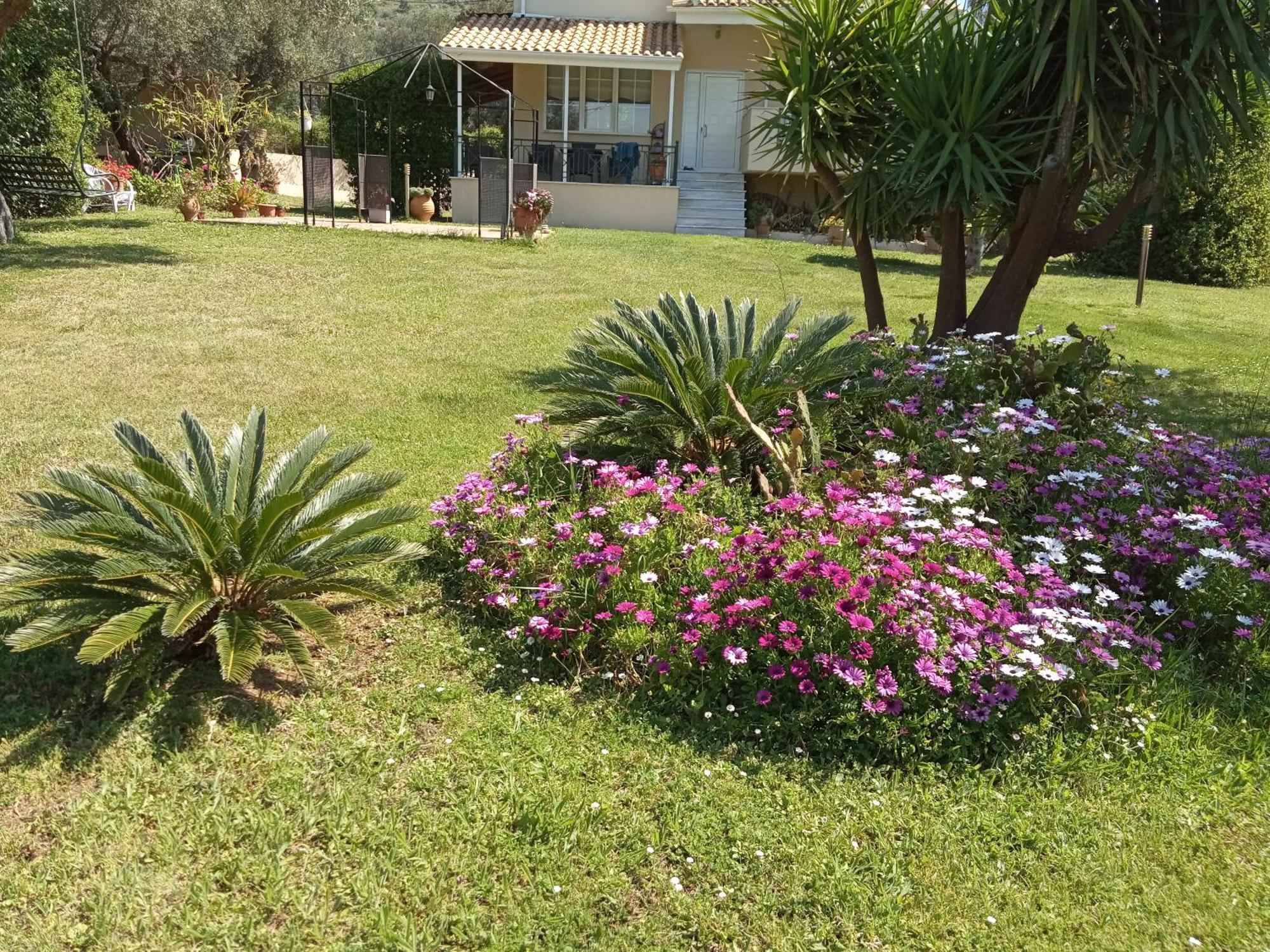 Sunny Garden Villa Plataria Cameră foto